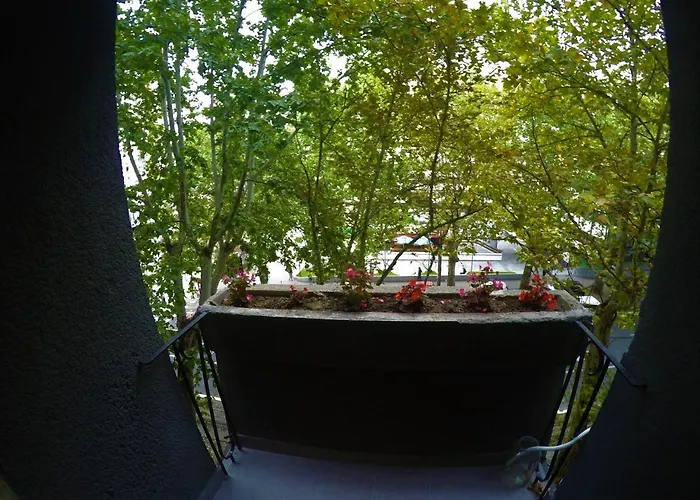 Apartman Centar Tas