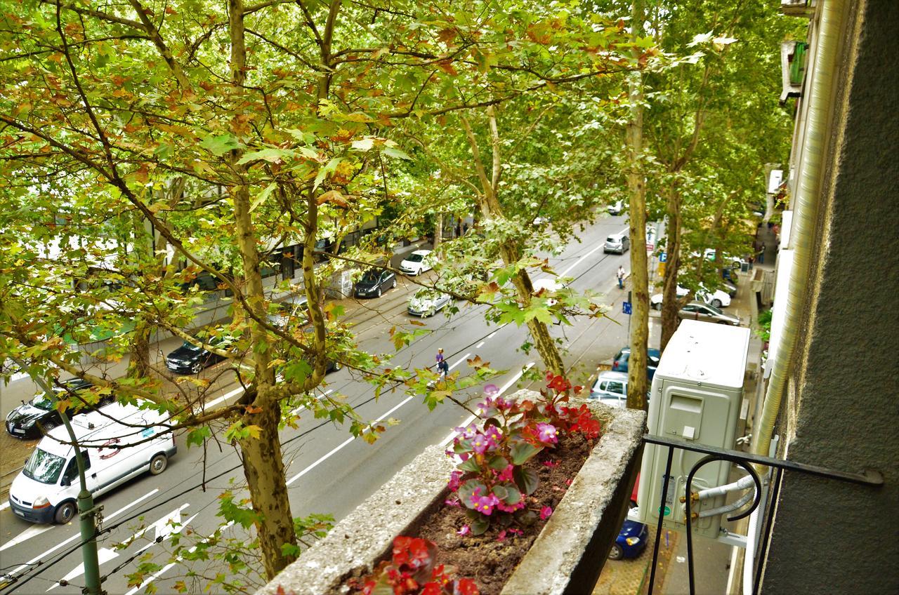 Apartment Centar Tas
